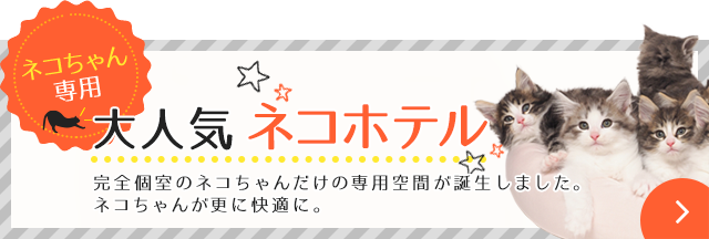 ネコちゃん専用 別館ネコホテルOPEN!