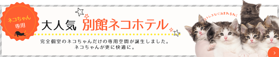ネコちゃん専用 別館ネコホテルOPEN!