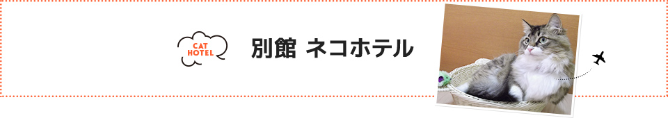 別館 ネコホテル  