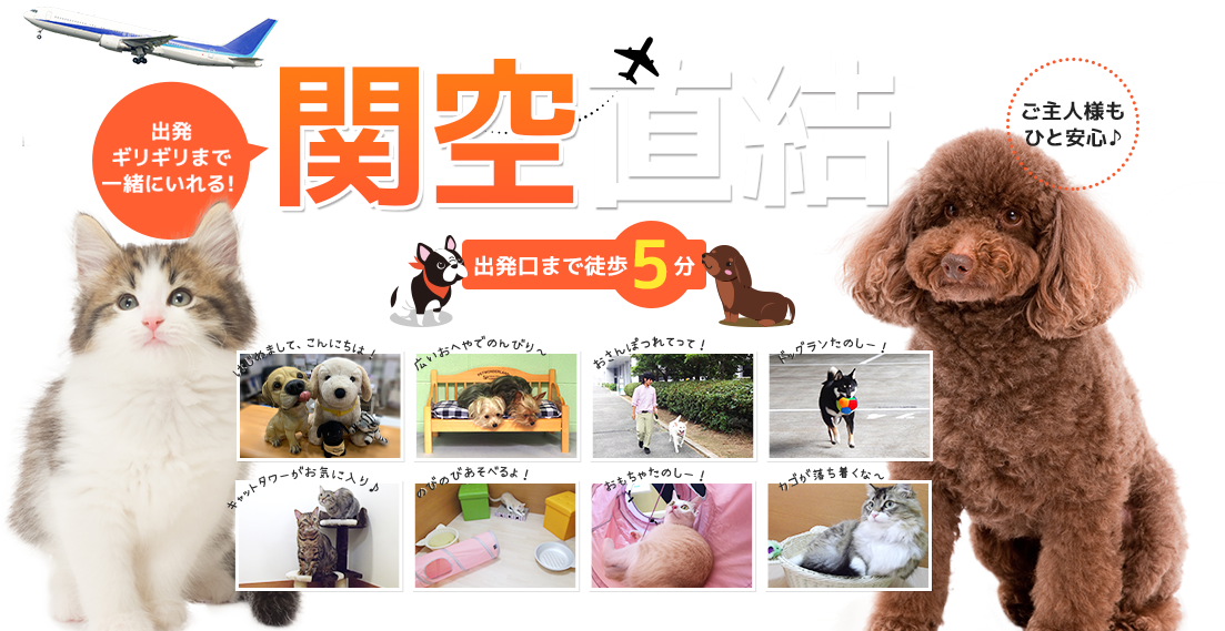 関空直結！出発ギリギリまで一緒にいれる！出発口まで徒歩5分