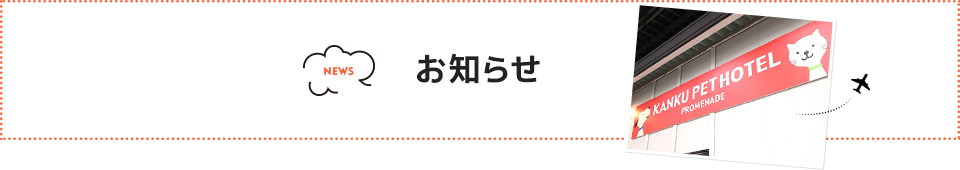 新着情報