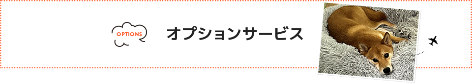 オプションサービス  
