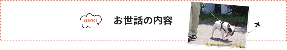 お世話の内容  
