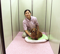 小型部屋