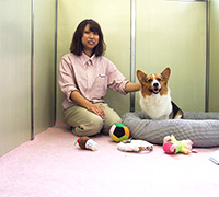中型部屋