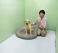 大型部屋
