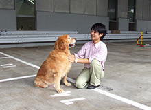 ドッグランの様子