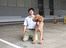 ドッグランの様子
