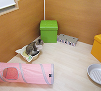 猫専用部屋