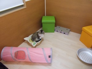 DSCF9059